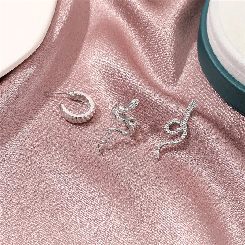 Set Snake Shape Earrings